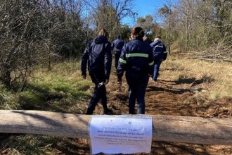 Violentaron cercos perimetrales y talaron árboles en Paso Vera. Intervino la Justicia y se notificó a la Secretaría de Ambiente