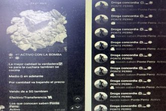 Hay 8 procesados de la banda que vendía cocaína y éxtasis por Telegram. Uno es deportista y otro es ordenanza de una escuela