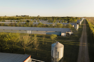 La avicultura tiene el desafío de producir con más eficiencia: &ldquo;Hay que modernizar mil galpones&rdquo; y piden financiación