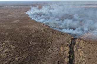 Brigadas entrerrianas asisten en el combate de incendios en la zona del Delta