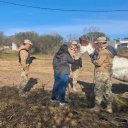 Preñada y en estado crítico: en un operativo policial rescataron a una yegua que sufría maltrato