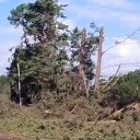 La cola de tornado causó la muerte de una mujer en Concordia. Estaba en su casa cuando un pino cayó encima