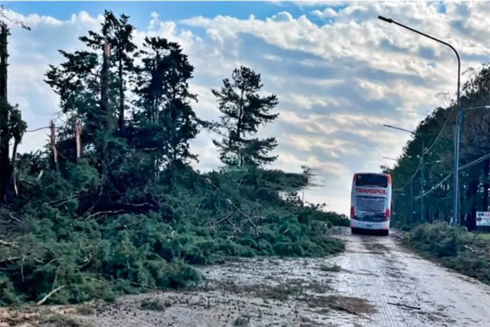 Fuertes tormentas golpearon el norte y la costa del Uruguay: Concordia, entre las zonas más afectadas