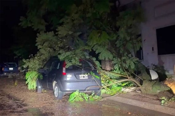 ENERSA explicó qué pasó con la línea de 132 kV y resaltó que &ldquo;está brindando asistencia técnica y operativa a la Cooperativa&rdquo;