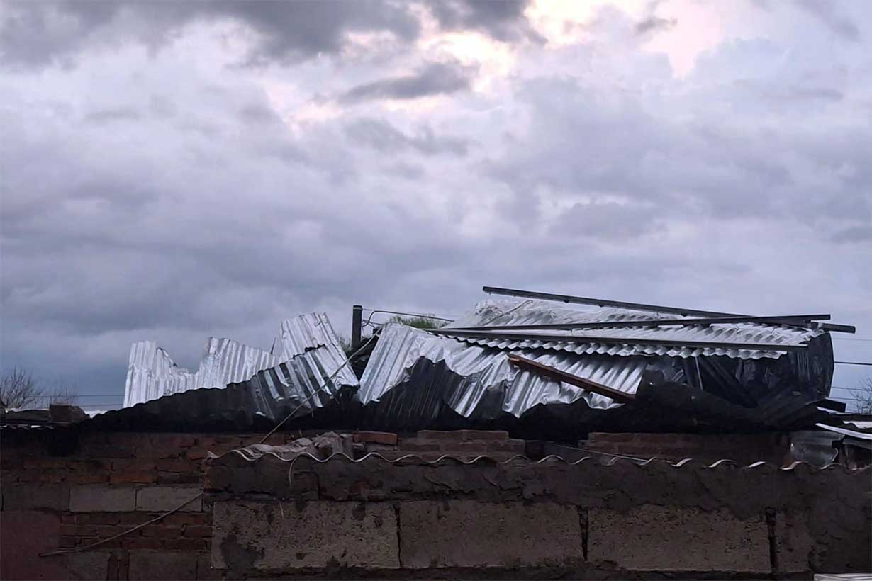 Lamentamos la muerte de una compatriota. En Salto, la tormenta provocó una víctima fatal y el presidente Orsi se solidarizó - Noticias - Elentrerios.com