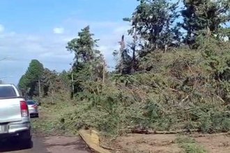 Tras la &ldquo;cola de tornado&rdquo;, la Municipalidad puso en marcha un operativo en distintos sectores de la ciudad