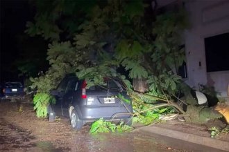 ENERSA explicó qué pasó con la línea de 132 kV y resaltó que &ldquo;está brindando asistencia técnica y operativa a la Cooperativa&rdquo;