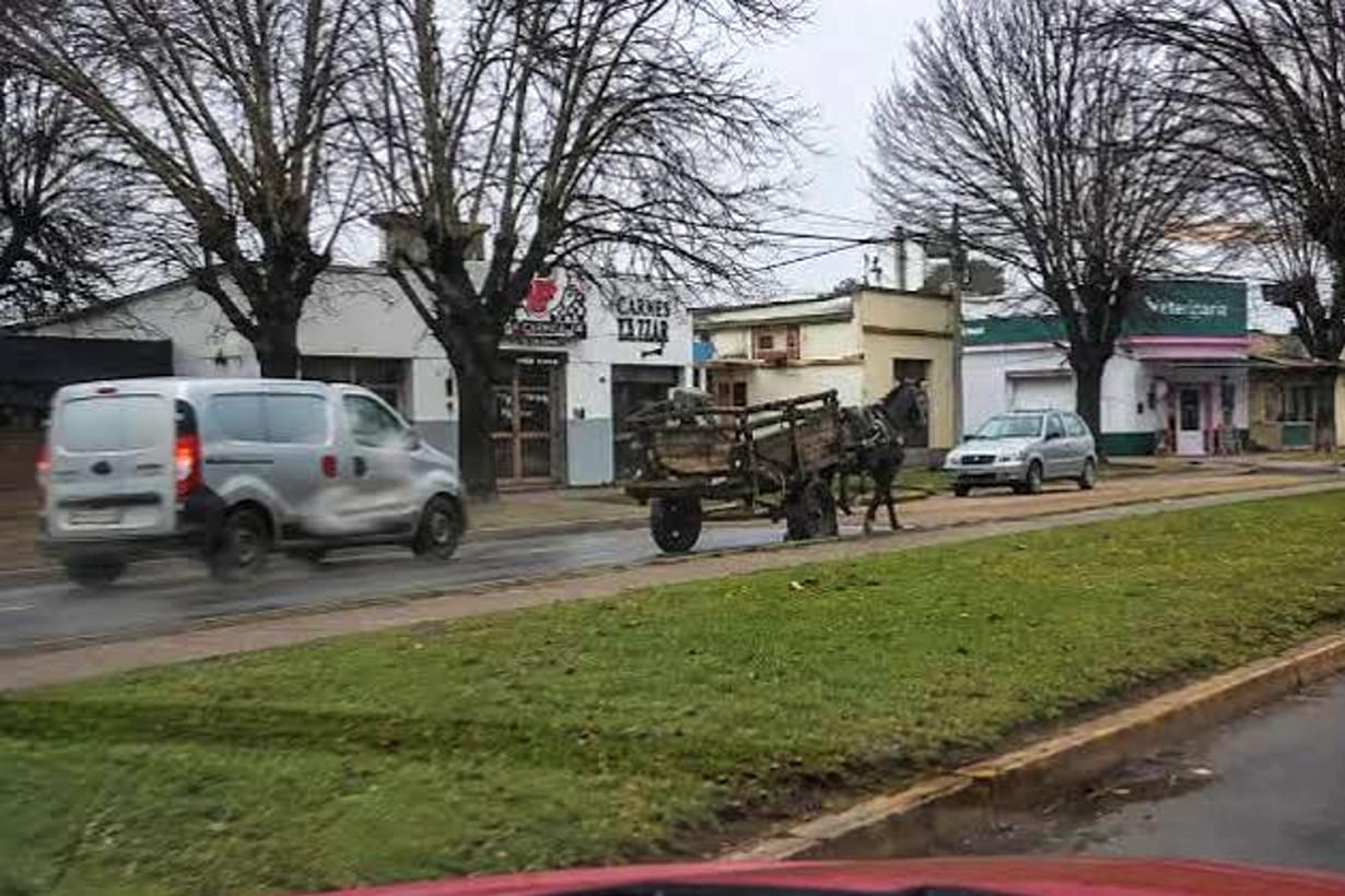 Un caballo se desbocó, recorrió varias cuadras con un carro y sembró momentos de pánico - Noticias - Elentrerios.com