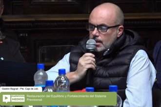Bagnat le dijo a Diputados que la reforma previsional aliviará en $3500 millones mensuales el déficit de la Caja de Jubilaciones