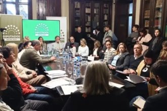 Ante Diputados, Alejandro Cánepa afirmó que la reforma jubilatoria podría generar tensiones jurisprudenciales