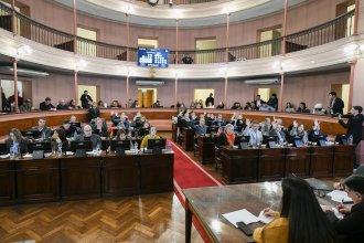 Obtuvo media sanción el proyecto de ley de alivio impositivo para el comercio entrerriano
