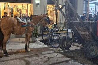 Un caballo colapsó por agotamiento mientras tiraba de un carro en pleno centro de Concepción del Uruguay