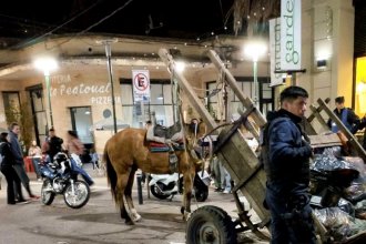 Desapareció el caballo que había sido rescatado tras desplomarse en la vía pública. La Policía inició un operativo de búsqueda