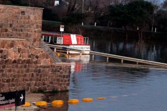 En Salto advierten que la creciente del río Uruguay &ldquo;se adelantó" y evalúan evacuar antes que llegue el agua