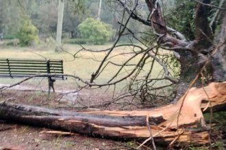 &ldquo;El panorama es desolador&rdquo; en el Parque Benito Solari de ciudad vecina a Concordia