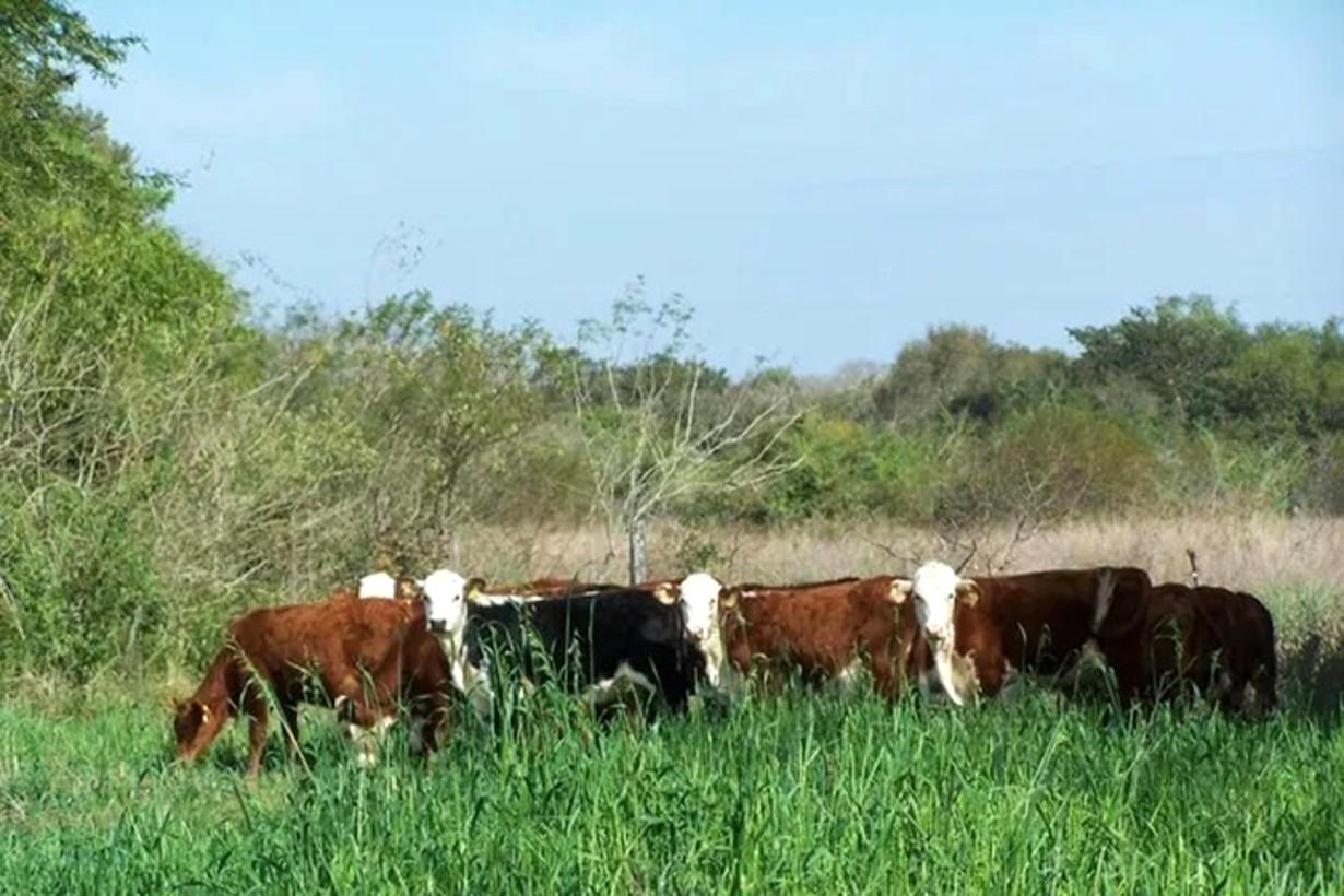 Tierras fiscales: Entre Ríos regularizó el 65% de su superficie y busca generar más recursos - Noticias - Elentrerios.com