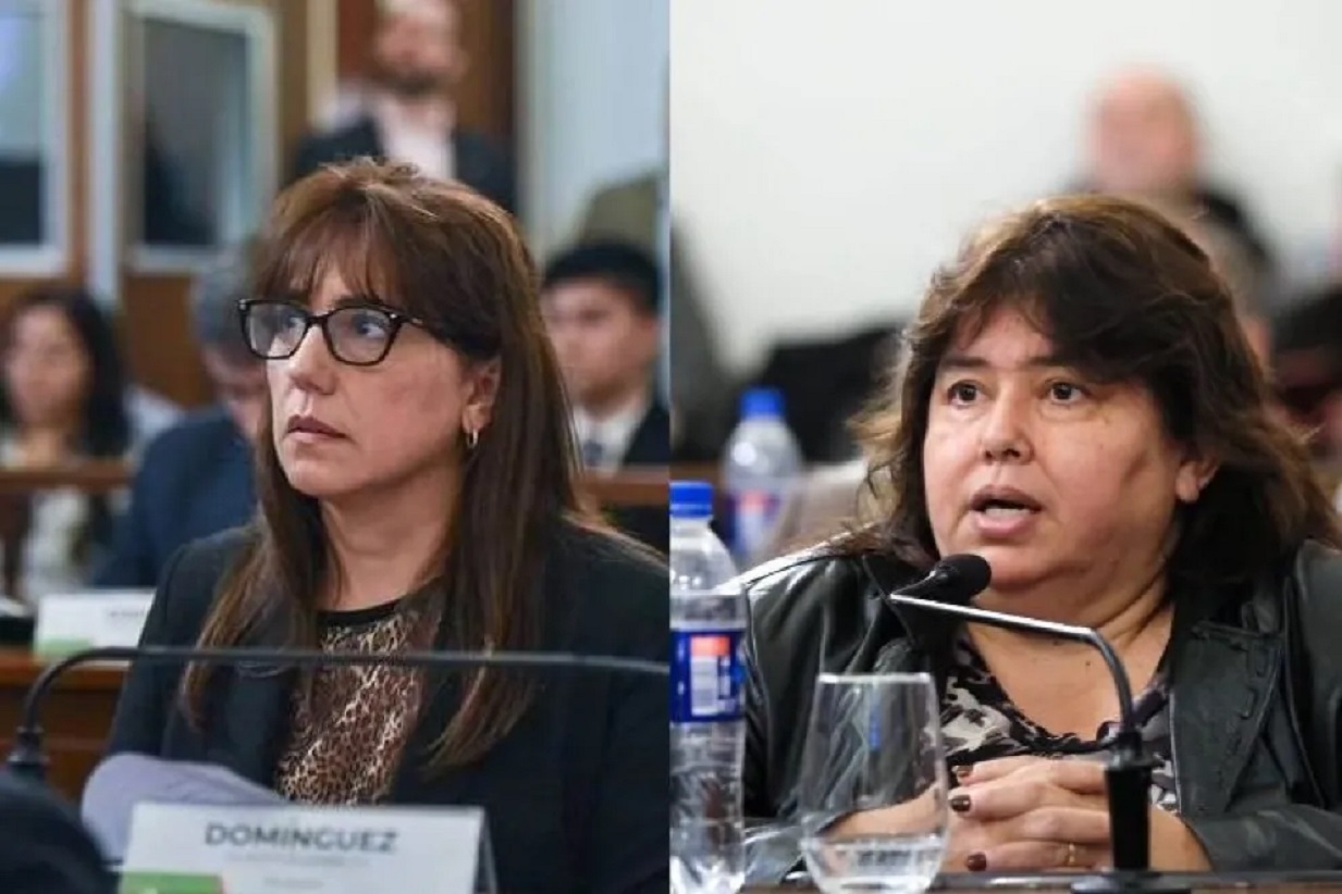 Expulsaron del Partido Justicialista a las senadoras que habían apoyado la reforma previsional - Noticias - Elentrerios.com
