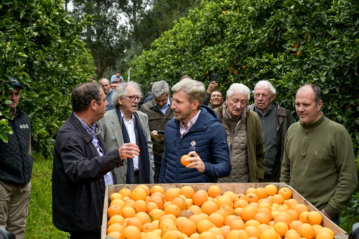 Desde Concordia, Frigerio destacó la actividad citrícola y aseguró que estamos cerca de desplegar el potencial que tiene - Noticias - Ele