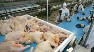 Exigen soluciones ante la crisis del sector avícola entrerriano