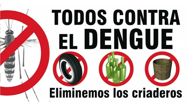 Alerta en Paraná: confirman dos casos autóctonos de dengue - Noticias -  