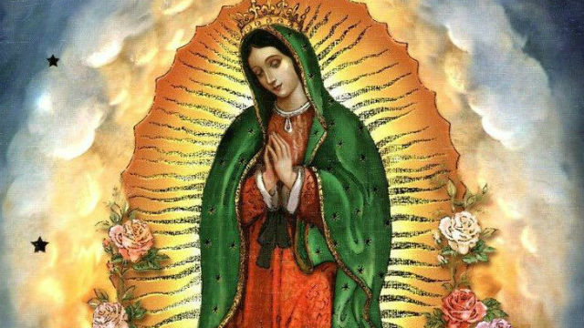 Vieron la imagen de la Virgen de Guadalupe en una hostia - Noticias -  