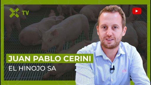Importaciones y la producción de carne de cerdo