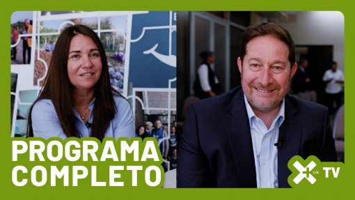 Programa completo Xmas 1334 4K