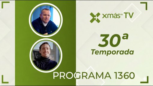 Xmas 1360 11 07 2026